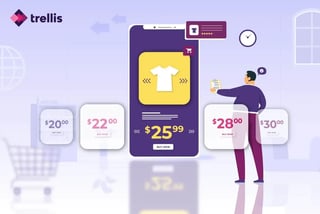 Trellis-PricingOptimizationGraphic-1428x958-AM-05-JUNE-2024-V3-R2